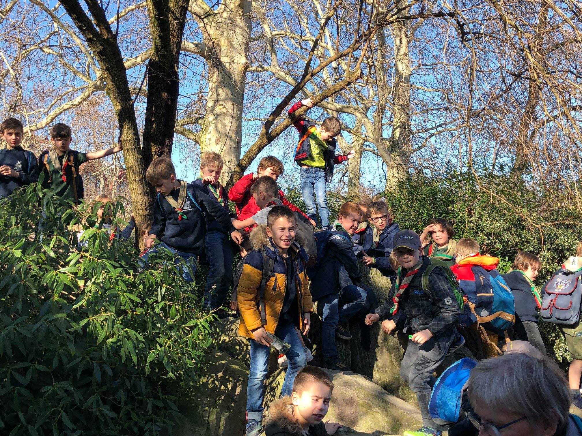 Sint-Martinus den XIIde - Zoo Antwerpen Kapoenen